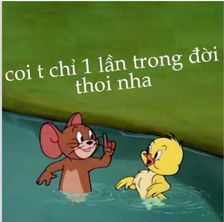 Thưởng thức jerry meme cute hot nhất hôm nay