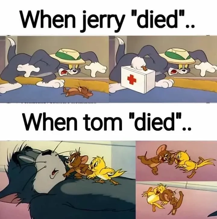 Bộ sưu tập jerry and tom meme cực thú vị