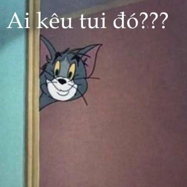 Tải ngay tom cat meme vui nhộn miễn phí