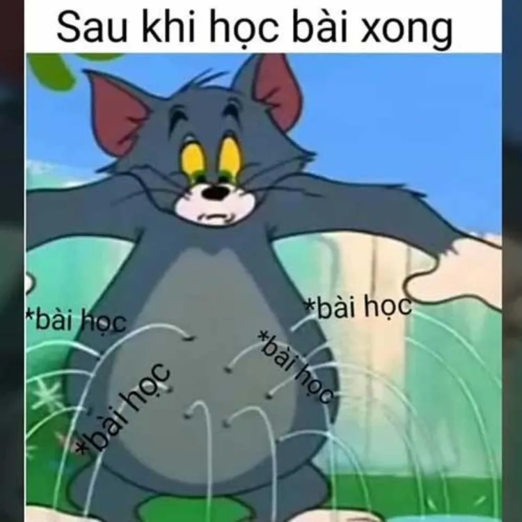 Tuyển tập tom face meme siêu bựaTuyển tập tom face meme siêu bựa