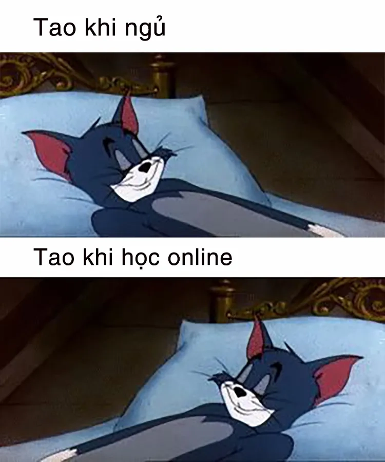 Tận hưởng trọn bộ meme tom cười bá đạo