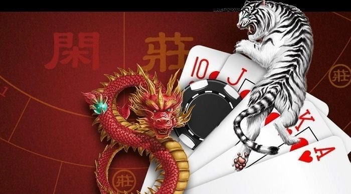 Bí kíp chinh phục thế giới Rồng Hổ