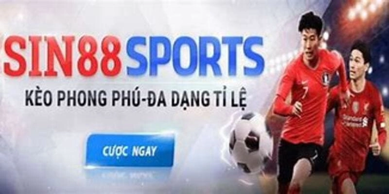 Nhóm hội chơi Sin88 trên mạng giúp tôi học được nhiều
