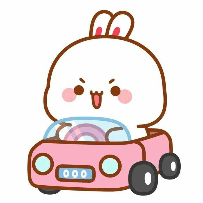 Sưu tầm những hình con thỏ cute dễ thương