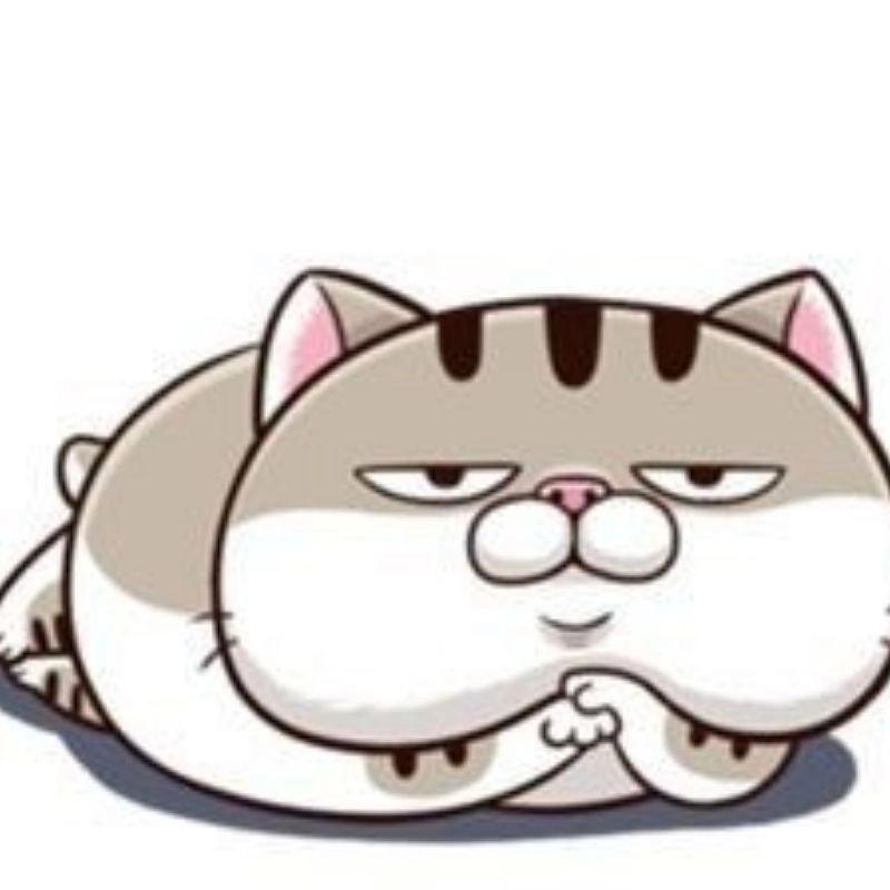 Meo chibi meo chibi avt avatar ảnh mèo cute dẫn đầu xu hướng mới