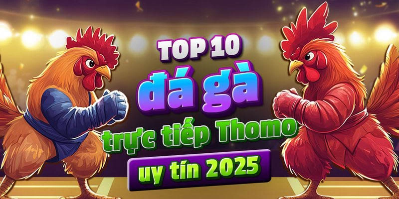  Tải app QQ88 dễ dàng, trải nghiệm đá gà mọi lúc mọi nơi.