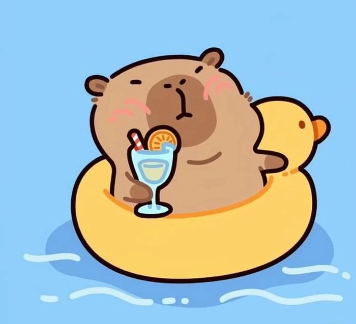 Xem ngay ảnh capybara chibi cute
