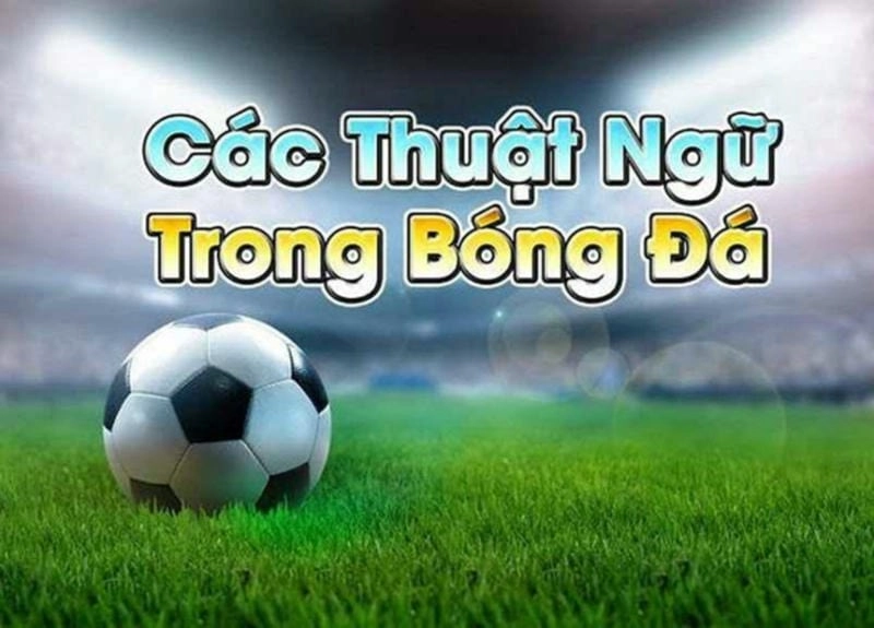 Những thuật ngữ cá cược trong bóng đá mà người chơi nên biết