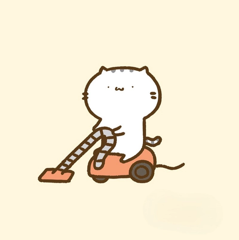 Cùng xem ảnh con mèo chibi ngộ nghĩnh