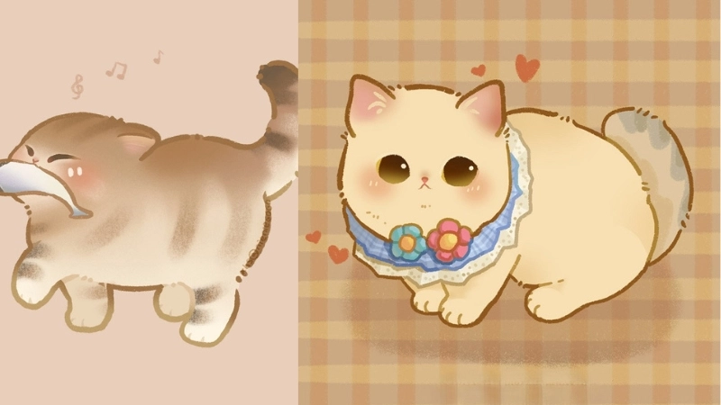 Mèo cute chibi là gì khiến dân mạng phát cuồng