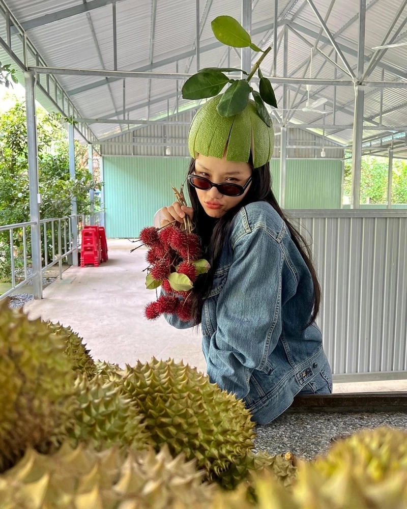 Dòng cảm xúc trong nhạc Miu Lê
