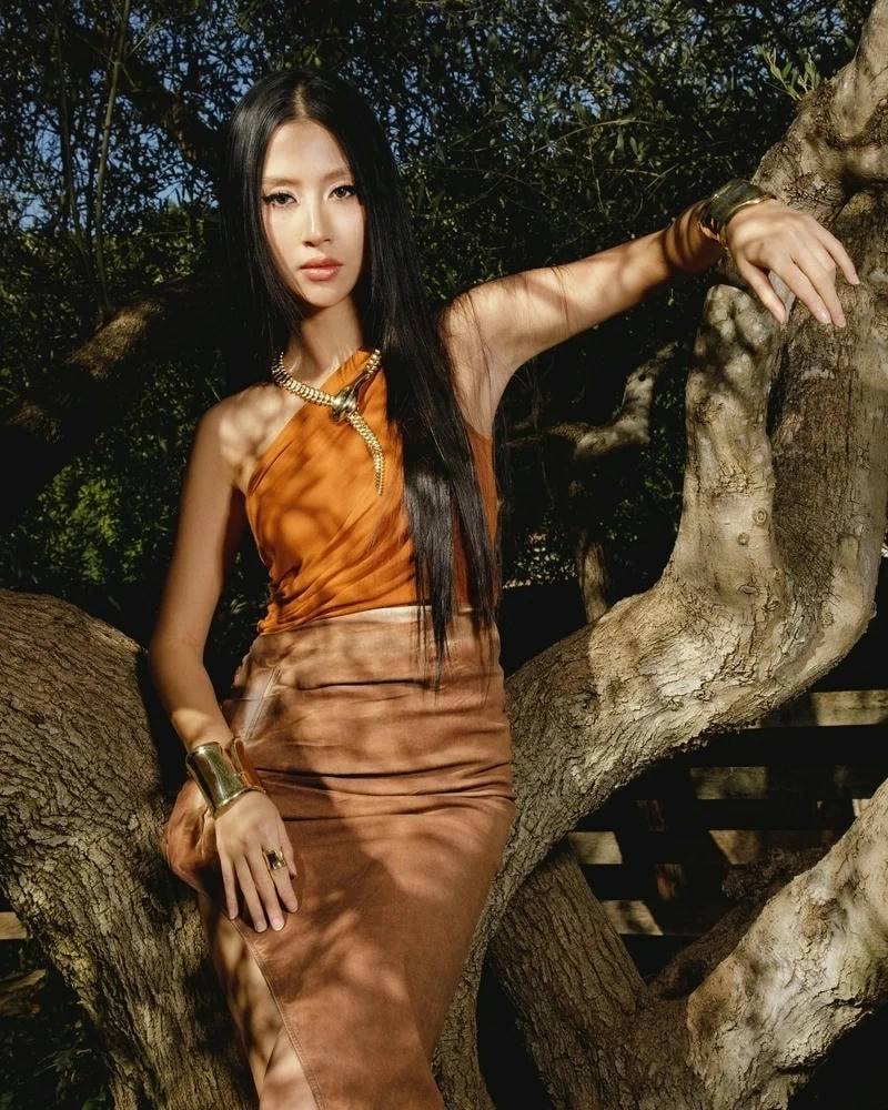 Tìm hiểu tiểu sử Quỳnh Anh ShynTìm hiểu tiểu sử Quỳnh Anh Shyn