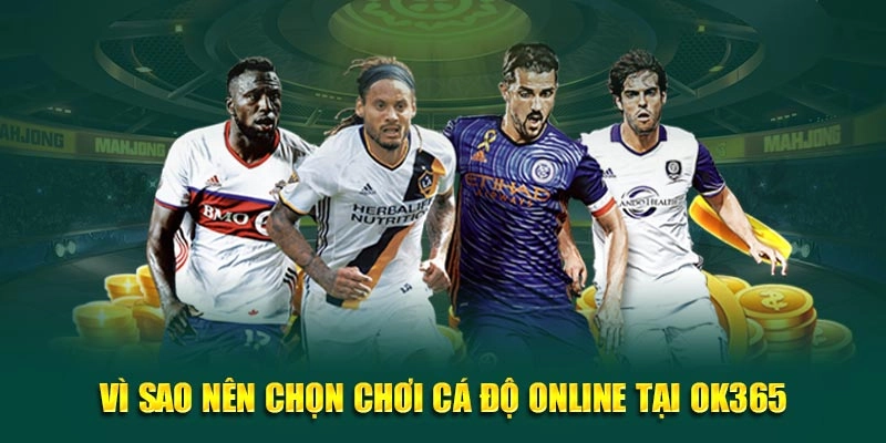 Vì sao nên chọn chơi cá độ online tại OK365