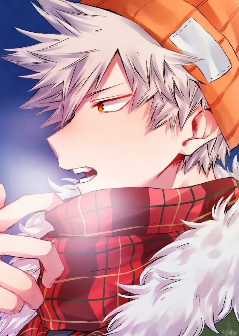 Bí ẩn người mẹ của Bakugo mom