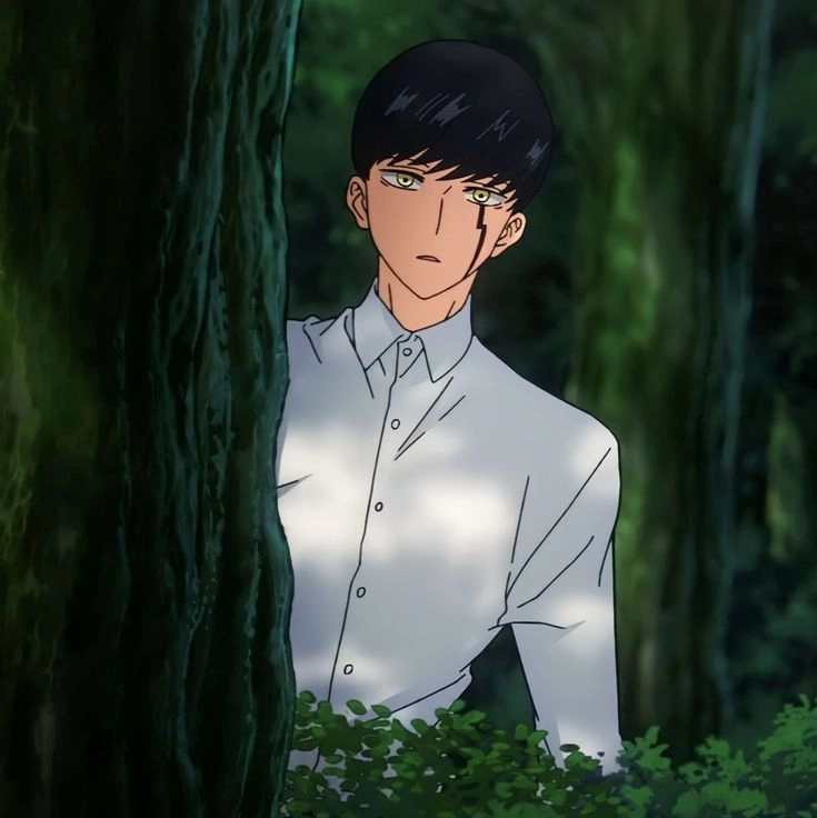 Cộng đồng yêu thích Mashle BL