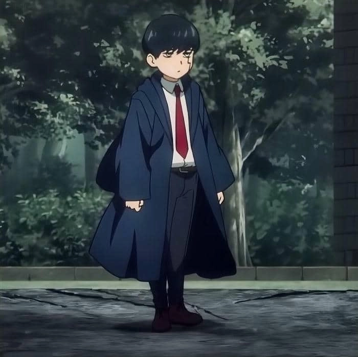 Đọc online truyện Mashle Noveltoon