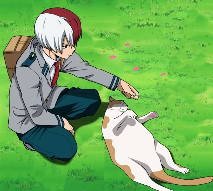Mối quan hệ phức tạp của Bakugou x Shoto