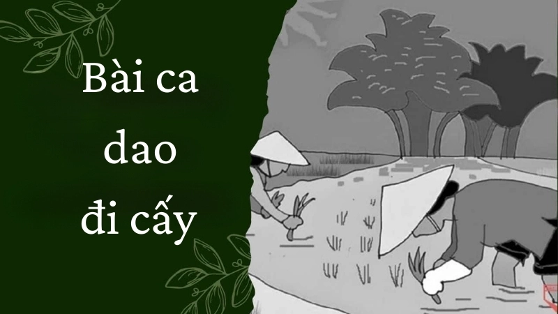 Bài ca dao đi cấy