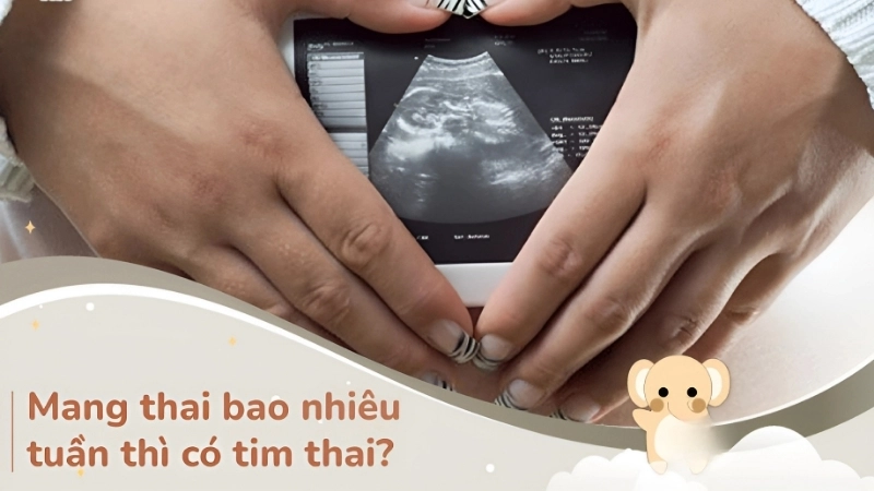 Tim thai xuất hiện khi nào?