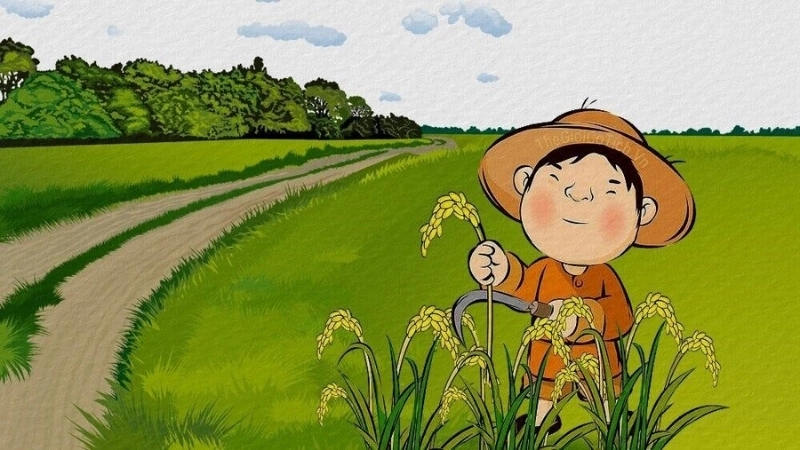 Ý nghĩa của ca dao về lúa