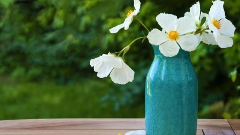 Ý nghĩa của ca dao về sống giản dị