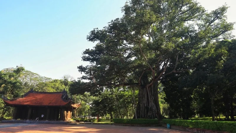 Bật mí đầy đủ về giới thiệu về khu di tích Lam Kinh