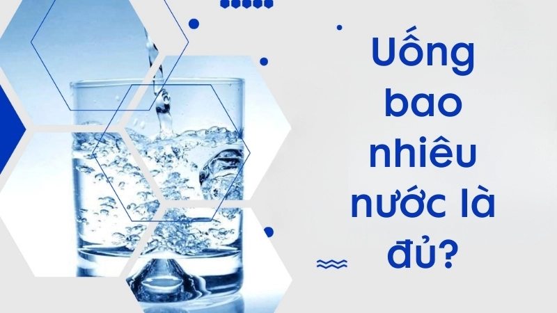 Lượng nước cần thiết không cố định, phụ thuộc vào tuổi tác, giới tính, cân nặng, vận động, thời tiết và sức khỏe của từng người.