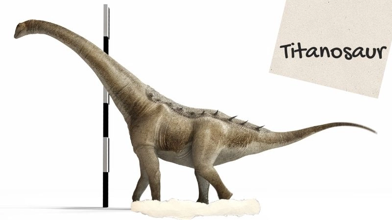 Titanosaur