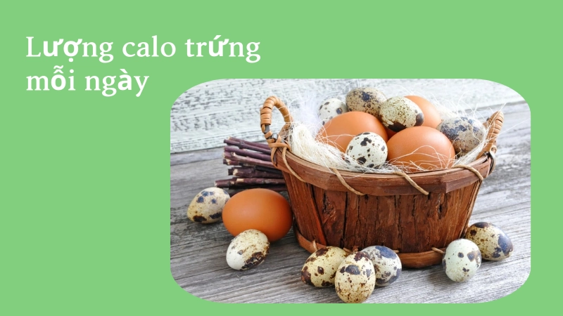 Trứng chứa bao nhiêu calo là phù hợp mỗi ngày