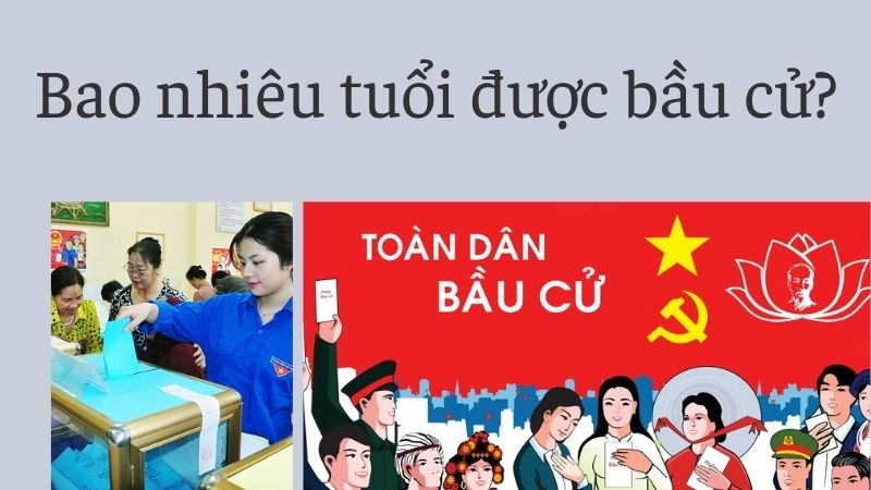 Quy định pháp luật về độ tuổi đi bầu cử hiện nay