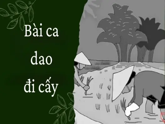 Bài ca dao đi cấy và nét đẹp văn hóa làng quê Việt