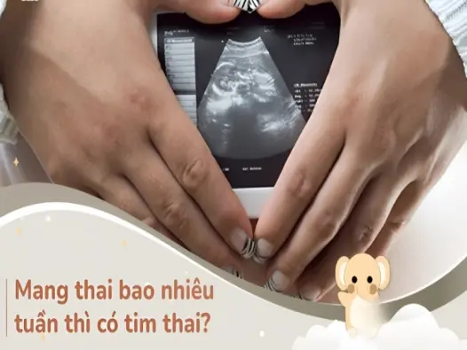 Bao nhiêu tuần có tim thai? Giải đáp chi tiết cho mẹ bầu