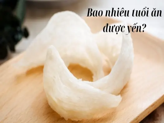 Bao nhiêu tuổi ăn được yến để đảm bảo an toàn cho sức khỏe