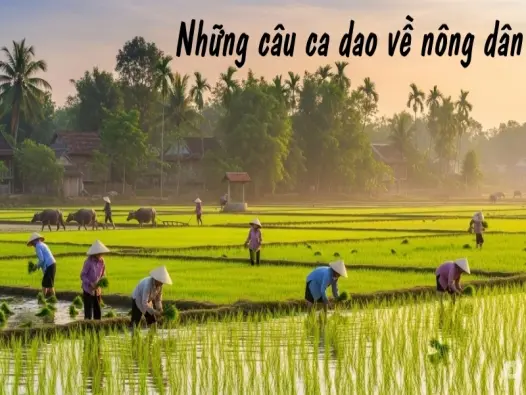 Những câu ca dao về nông dân phản ánh đời sống quê