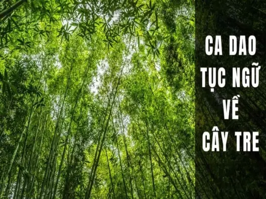 Những câu ca dao về cây tre thể hiện tinh thần dân tộc