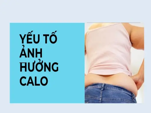 Trải nghiệm tính calo đúng giúp kiểm soát cân nặng hiệu quả