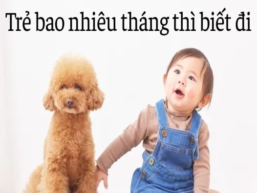 Trẻ bao nhiêu tháng thì biết đi để không chậm phát triển