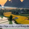Chùm ca dao về quê hương đất nước lớp 6: Tình yêu non sông bất diệt