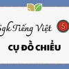 Cụ Đồ Chiểu Văn lớp 5: Cuộc đời và Di sản
