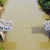 Di tích lịch sử Cầu Gãy Sông Bé: Dấu tích hào hùng của Bình Dương