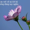 Khám phá ca dao tục ngữ phê phán thói ích kỷ