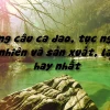 Khám phá kho tàng ca dao tục ngữ về thiên nhiên và lao động