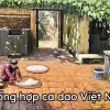 Khám phá kho tàng các câu ca dao Việt Nam và ý nghĩa sâu sắc