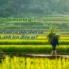 Khám phá kho tàng những bài ca dao Việt Nam sâu sắc và ý nghĩa