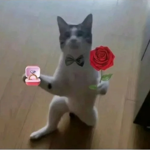101+ Meme Tặng Hoa Siêu Hài Hước Cho Mọi Tình Huống