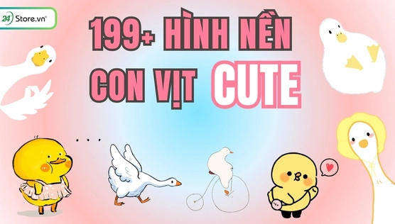 156+ Avatar Vịt Vàng Cute: Tổng Hợp Hình Nền Đáng Yêu Nhất 2026