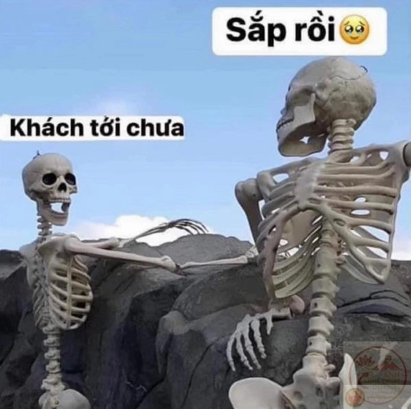 180+ Meme Chờ Đợi Cực Lầy Lội Đồng Cảm