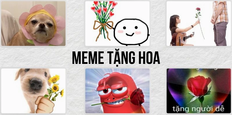 297+ Meme Tặng Hoa Hài Hước Nhất 2026