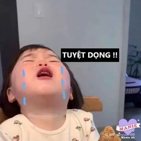50+ Meme Thất Vọng Bộc Lộ Cảm Xúc Chân Thật Nhất