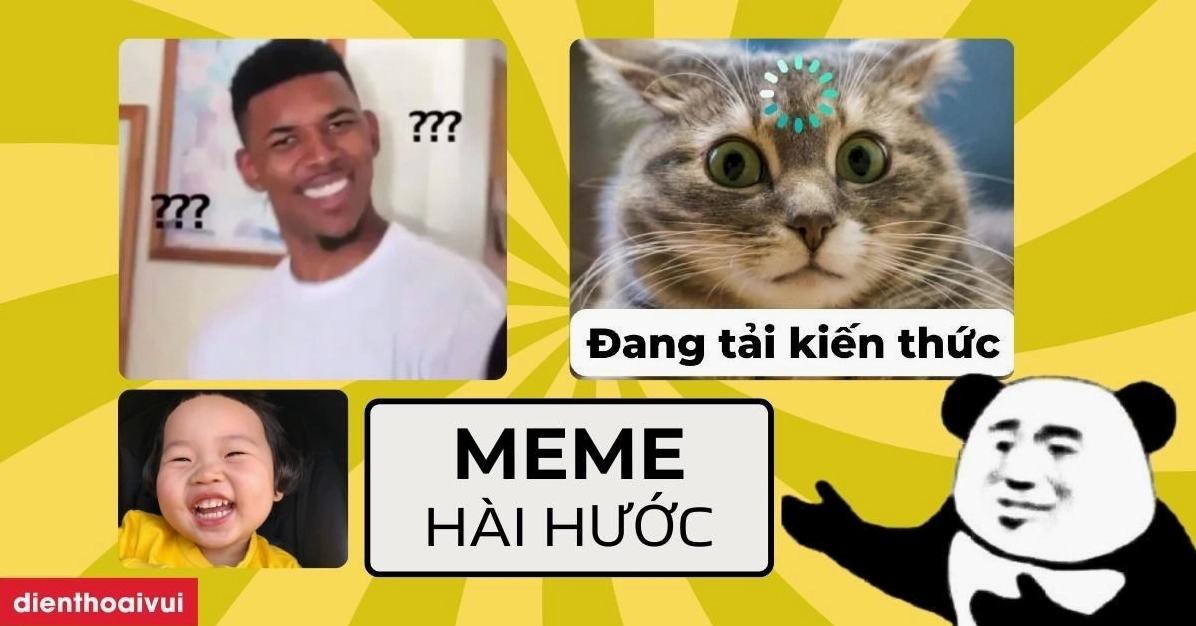 750+ Avatar Meme Mèo Bựa Hài Hước Nhất 2026